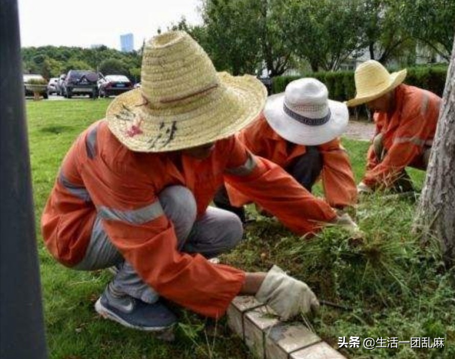 今日科普一下！县长用四国语言致辞,百科词条爱好_2024最新更新