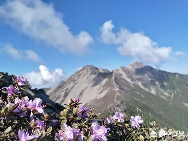 今日科普一下！进山走失2天被找回,百科词条爱好_2024最新更新