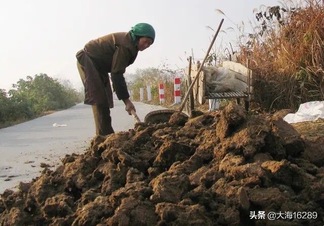 今日科普一下！政府人员打汇源员工,百科词条爱好_2024最新更新