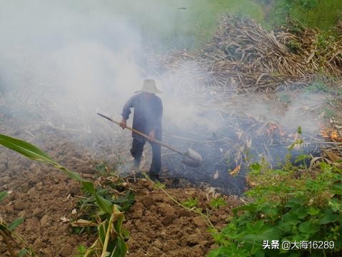 今日科普一下！政府人员打汇源员工,百科词条爱好_2024最新更新