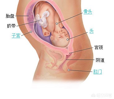 今日科普一下！脑瘫女孩备孕被指责,百科词条爱好_2024最新更新