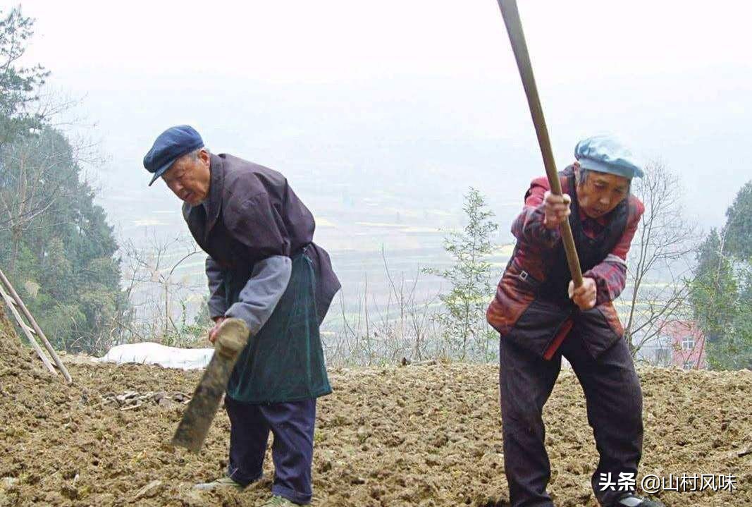 今日科普一下！老人被锁破旧福利院,百科词条爱好_2024最新更新