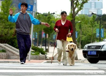 今日科普一下！残疾军人证乘车遭拒,百科词条爱好_2024最新更新