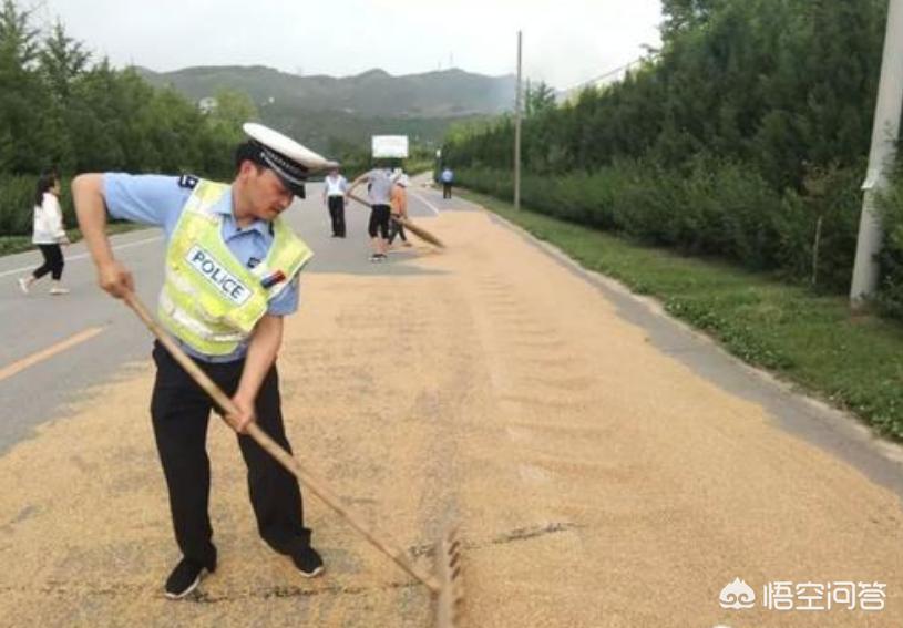 今日科普一下！洒水车浇湿路边老人,百科词条爱好_2024最新更新