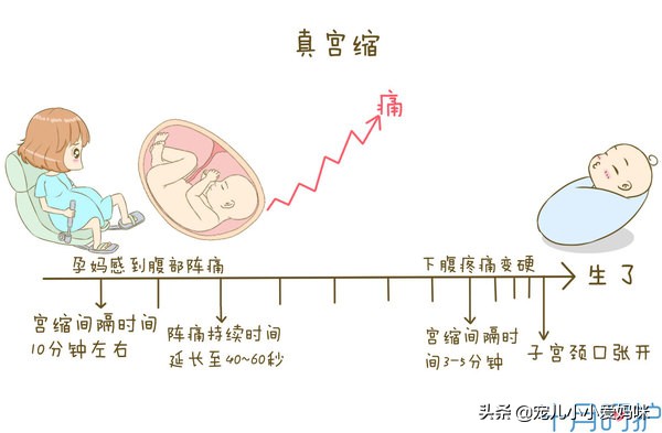 今日科普一下！产前4小时才知怀孕,百科词条爱好_2024最新更新