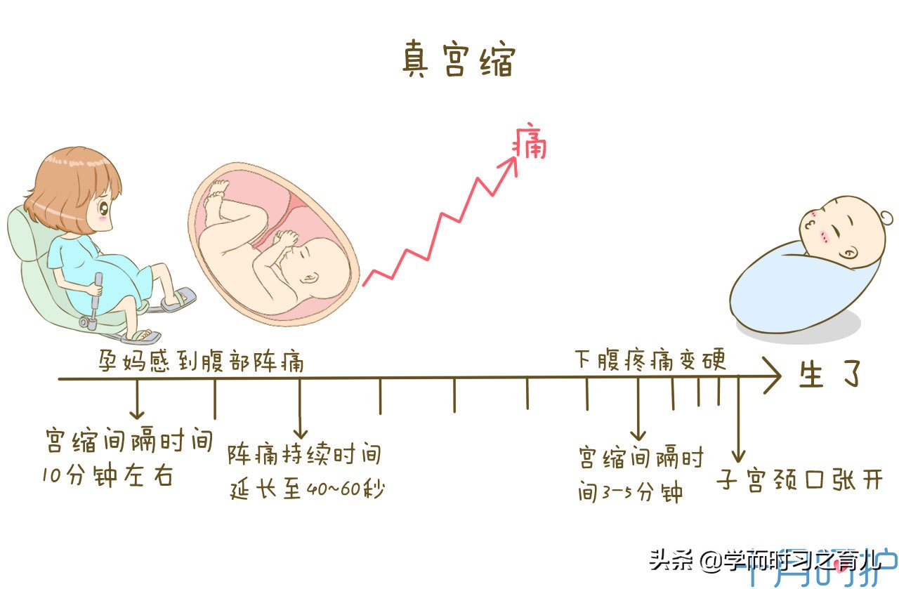 今日科普一下！产前4小时才知怀孕,百科词条爱好_2024最新更新