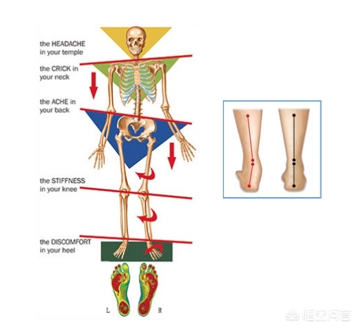 今日科普一下！腰痛一周体内长生姜,百科词条爱好_2024最新更新