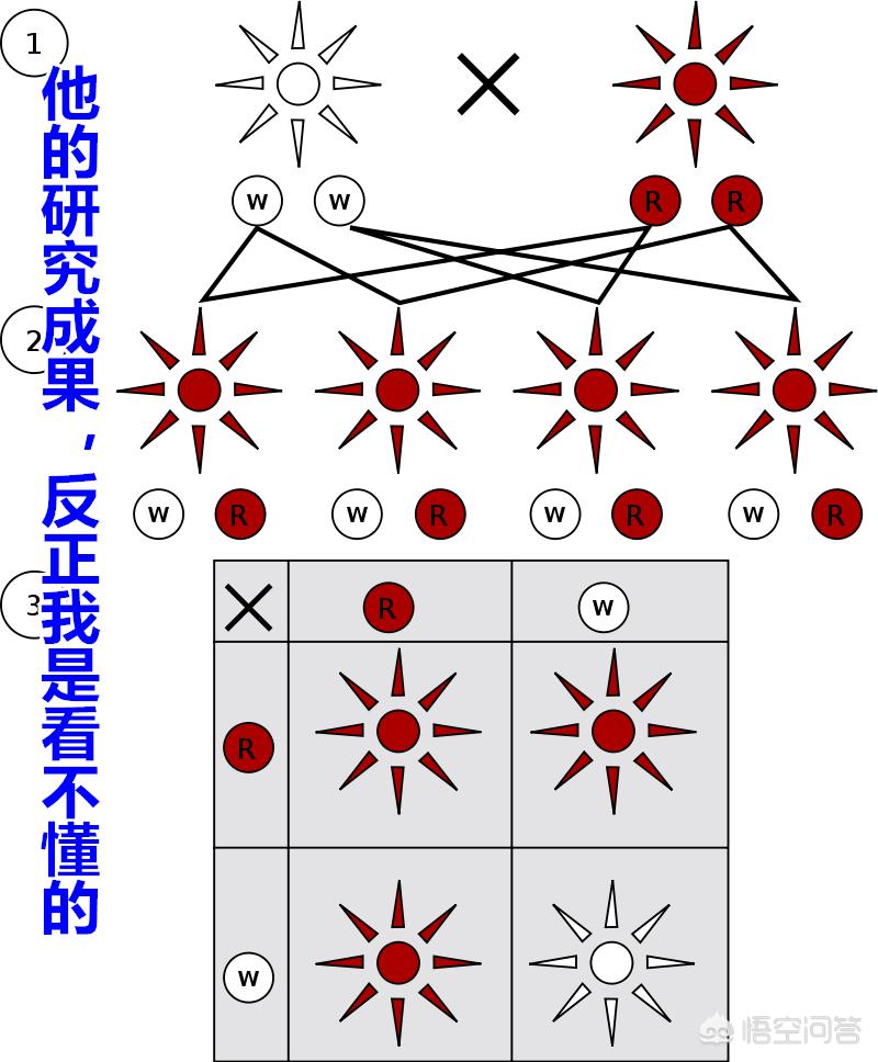 今日科普一下！买烟花塞满车厢被查,百科词条爱好_2024最新更新