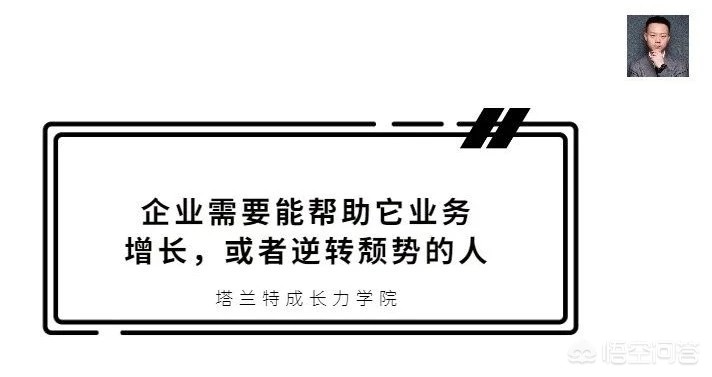 今日科普一下！CEO下岗潮来了,百科词条爱好_2024最新更新