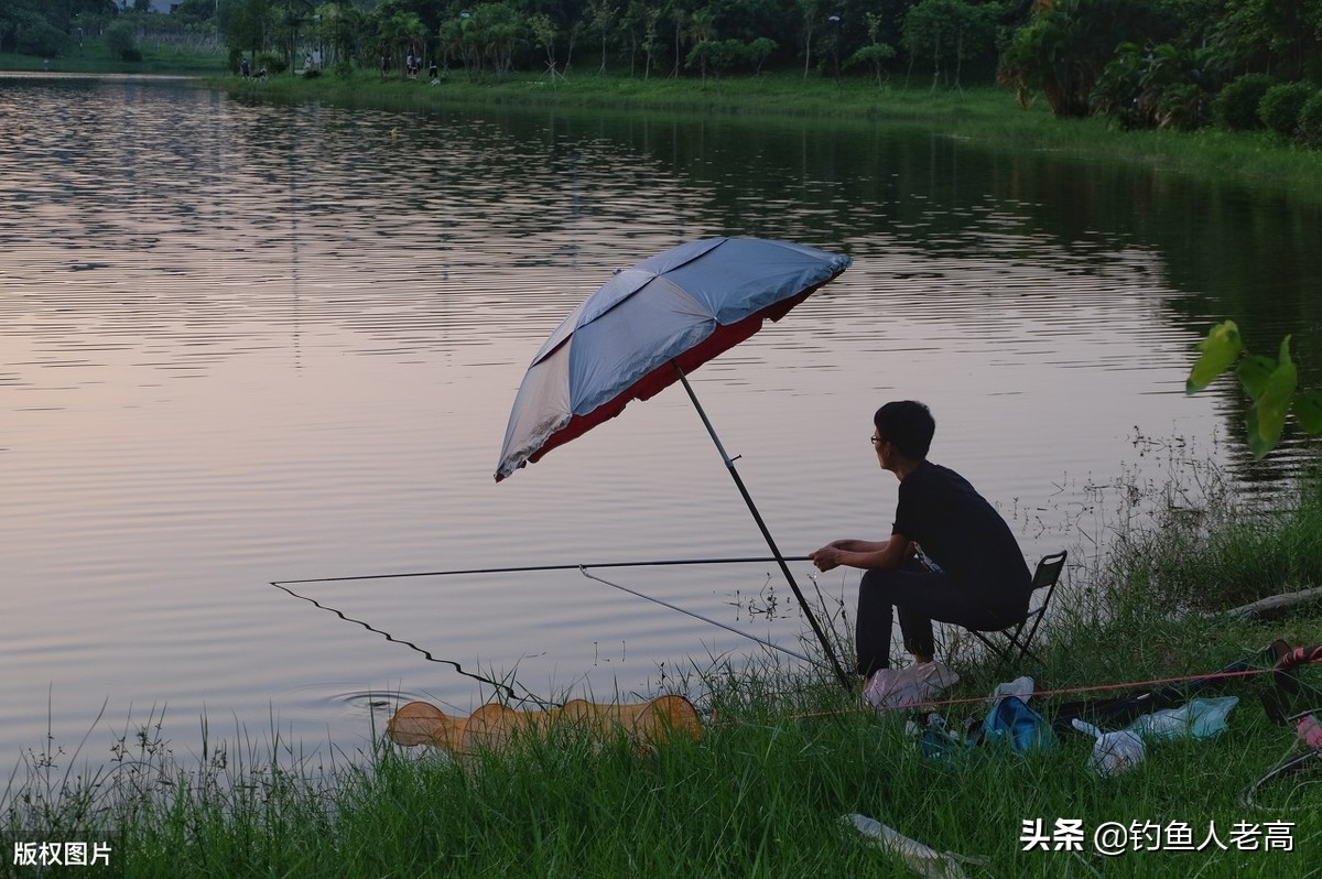 今日科普一下！下水道清淤吸出鲶鱼,百科词条爱好_2024最新更新