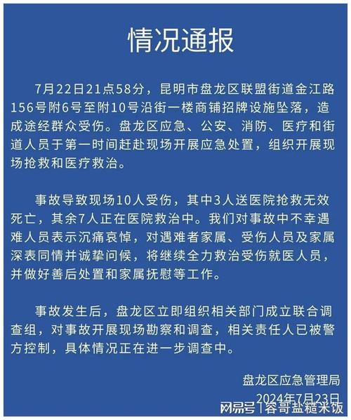 今日科普一下！叙人员遭袭14死10伤,百科词条爱好_2024最新更新