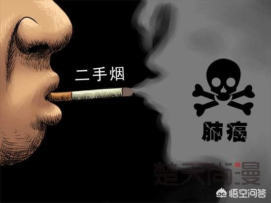 今日科普一下！二手烟比一手烟更毒,百科词条爱好_2024最新更新