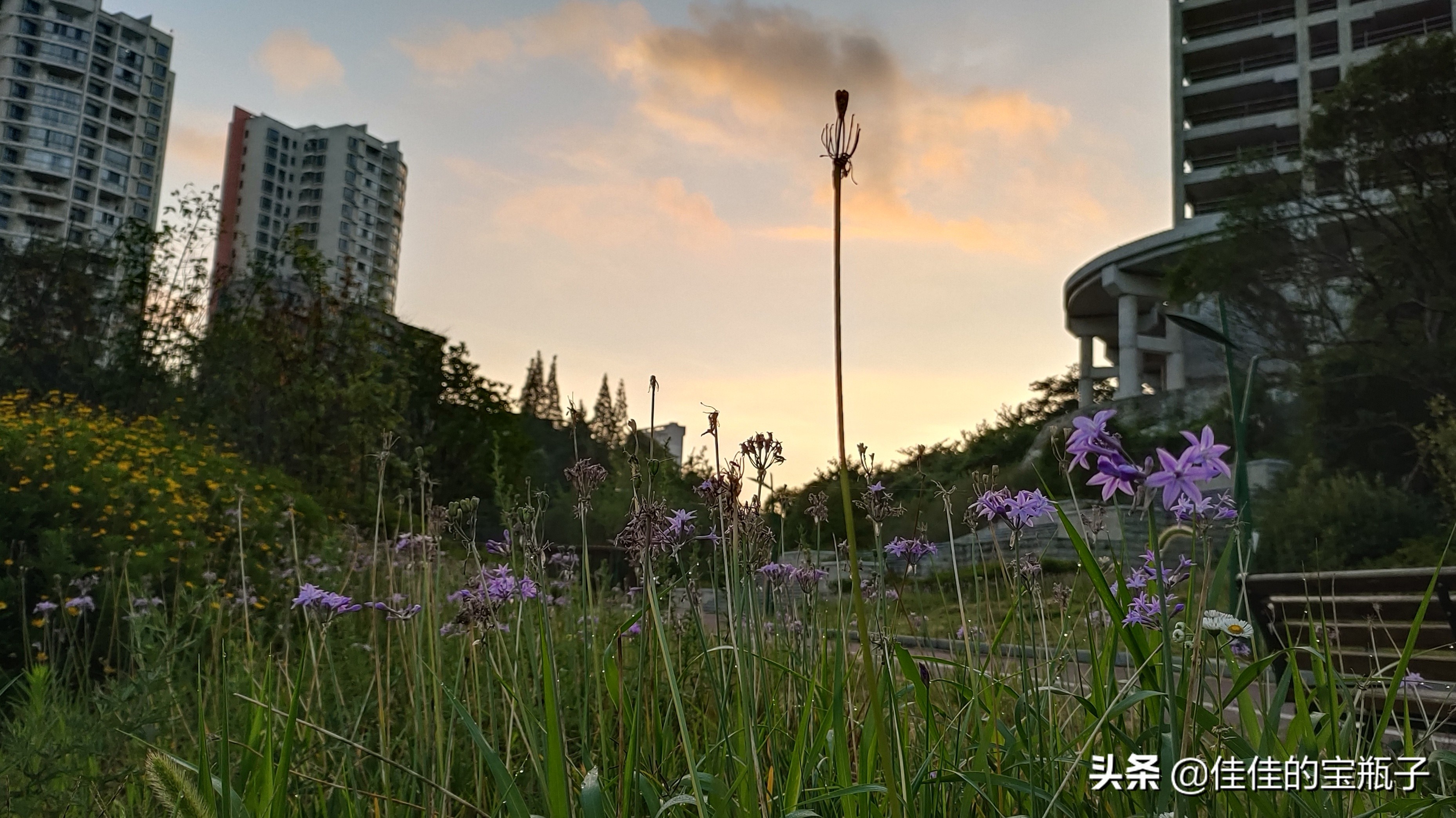 今日科普一下！7名失联游客找到,百科词条爱好_2024最新更新