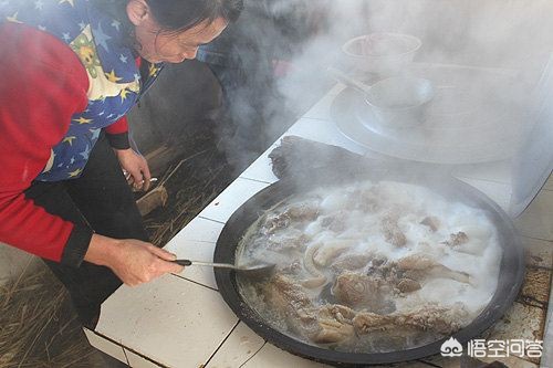 今日科普一下！死羊无证屠宰上餐桌,百科词条爱好_2024最新更新