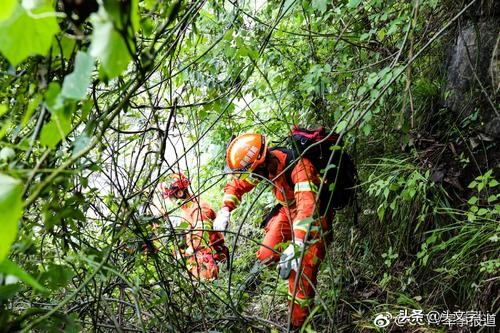 今日科普一下！加拿大飞机着陆起火,百科词条爱好_2024最新更新