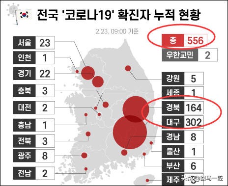 今日科普一下！韩国航班全部取消,百科词条爱好_2024最新更新