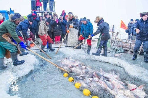 今日科普一下！查干湖头鱼拍119万,百科词条爱好_2024最新更新