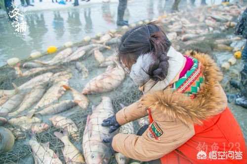 今日科普一下！查干湖头鱼拍119万,百科词条爱好_2024最新更新