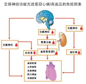 今日科普一下！超市半年丢10万鸡蛋,百科词条爱好_2024最新更新