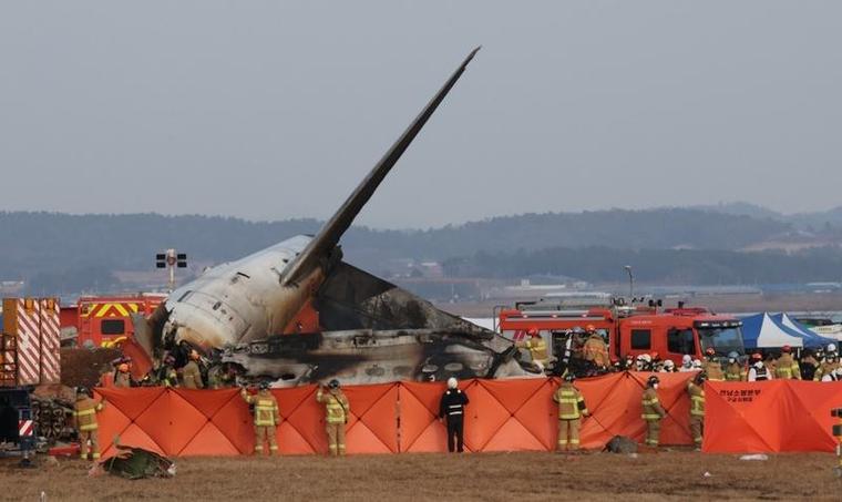 今日科普一下！洛杉矶山火已致7死,百科词条爱好_2024最新更新