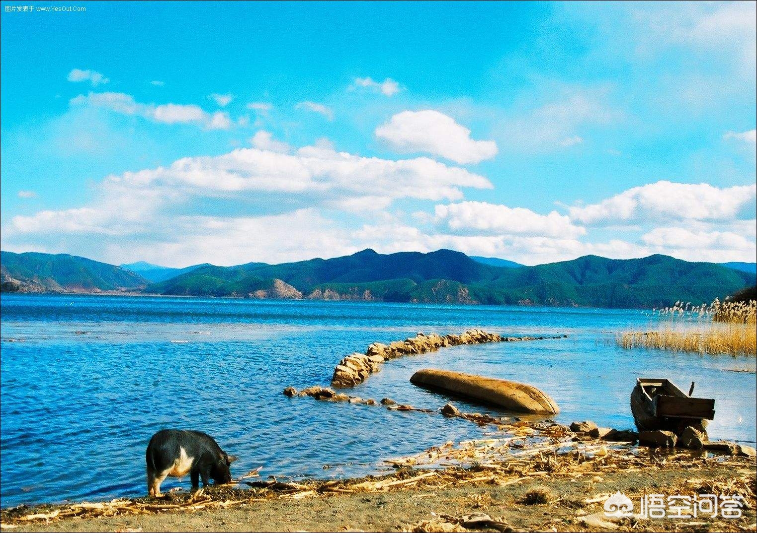 今日科普一下！云南迎25年首场降雪,百科词条爱好_2024最新更新