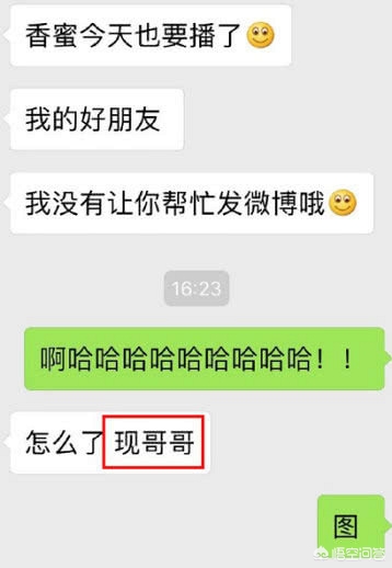 今日科普一下！杨紫李现牵手走红毯,百科词条爱好_2024最新更新