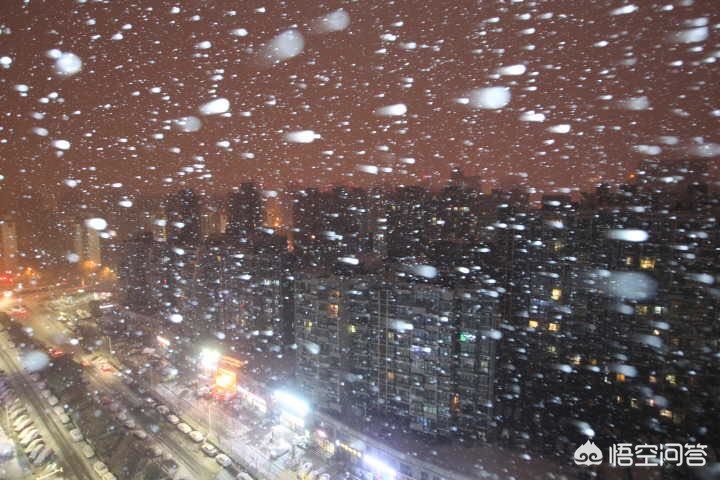 今日科普一下！郑州下雪,百科词条爱好_2024最新更新