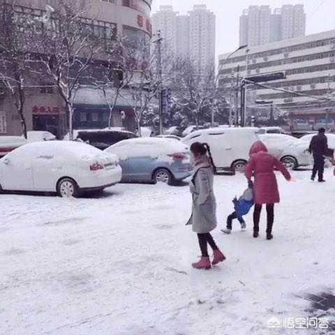 今日科普一下！郑州下雪,百科词条爱好_2024最新更新