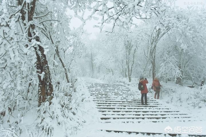 今日科普一下！郑州下雪,百科词条爱好_2024最新更新