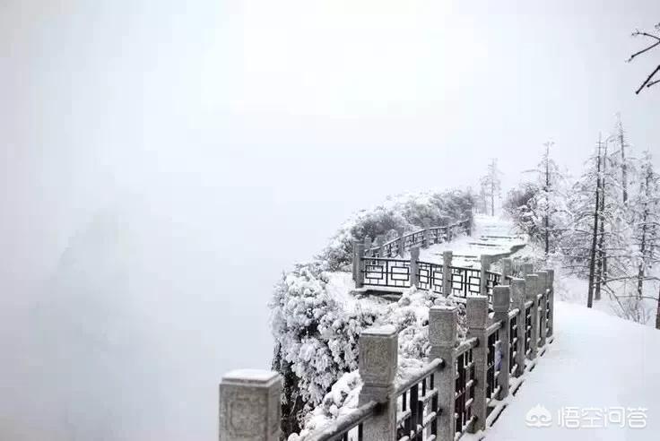 今日科普一下！郑州下雪,百科词条爱好_2024最新更新