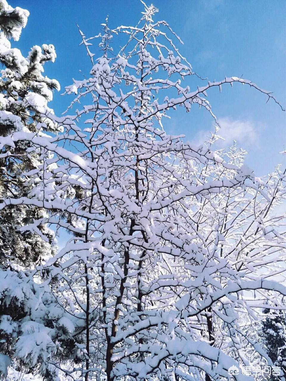 今日科普一下！大风暴雪预警生效中,百科词条爱好_2024最新更新