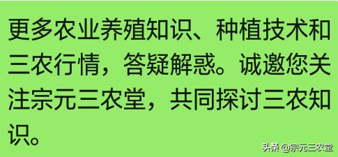 今日科普一下！美国严重蛋荒,百科词条爱好_2024最新更新