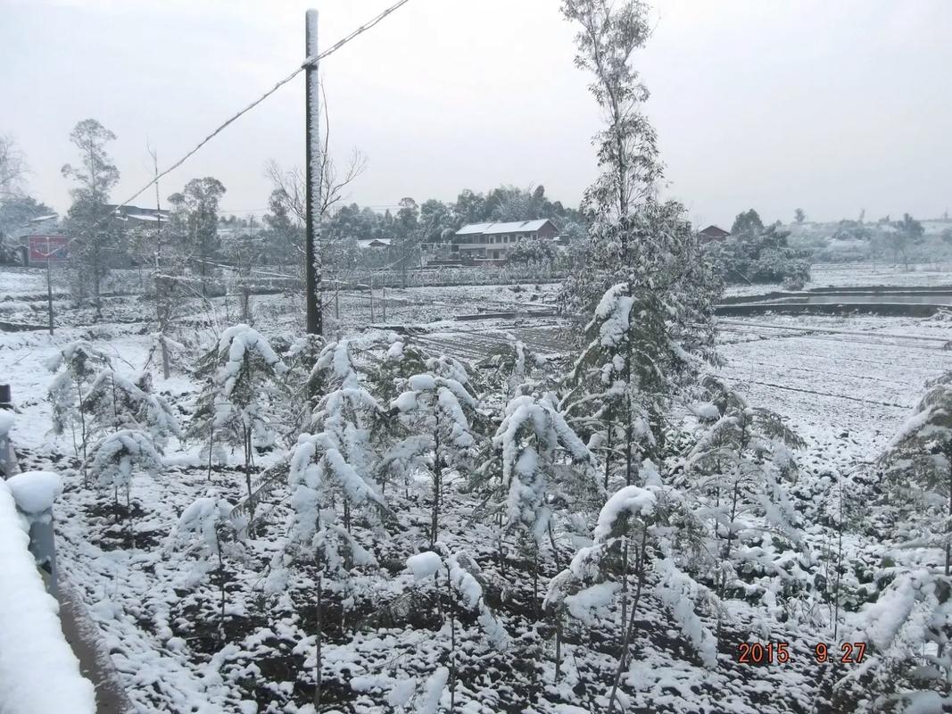 今日科普一下！大年初四北京下雪,百科词条爱好_2024最新更新