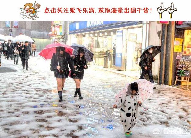 今日科普一下！日本大雪已致1死4伤,百科词条爱好_2024最新更新